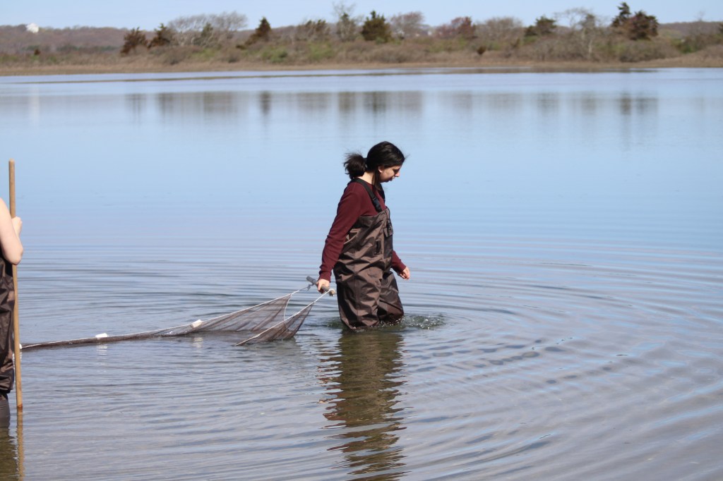 Mystic Aquarium Program
